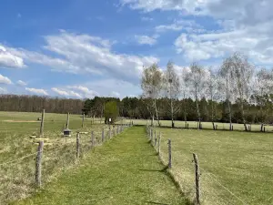 Wild und Haustierpark Liebenthal