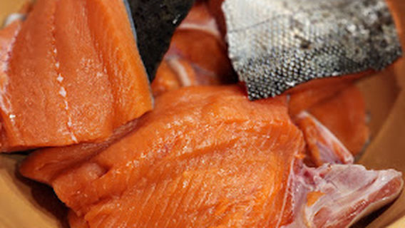 Clancy's Guided Sport Fishing