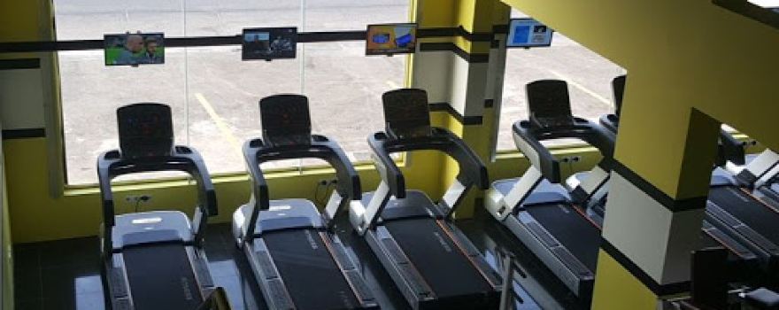 Lion Gym