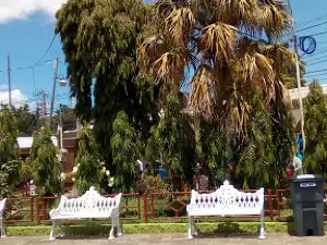 Municipal Park