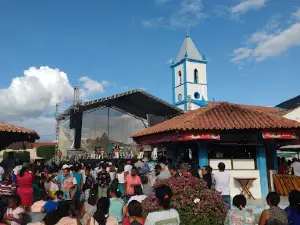 Catedral Santo Antônio