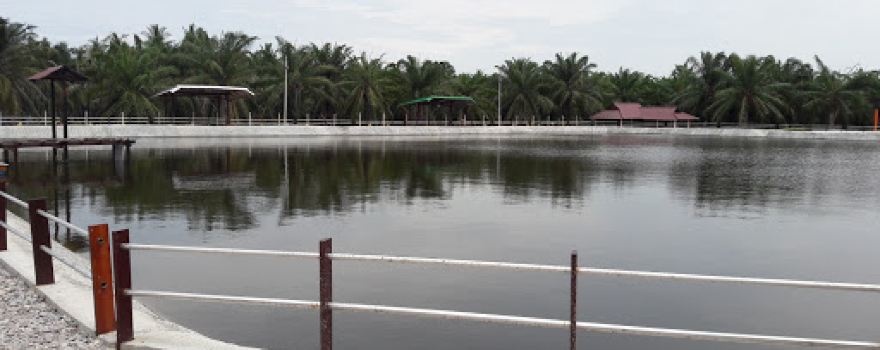 BAKAU de'Baruh, Bagan Datoh