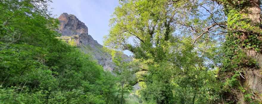 Parco Corvino