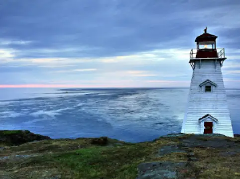 Adventure Bay Whale Watch Company