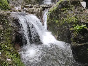 Tempat rekreasi CURUP LESTARI