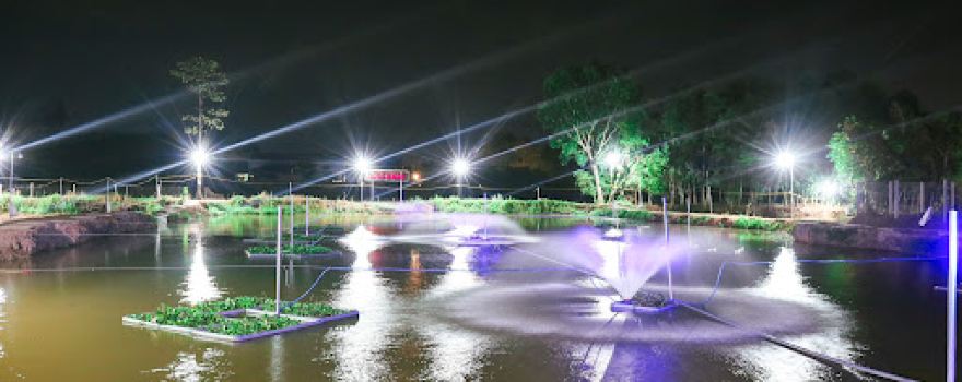 Câu cá giải trí Anh Khoa