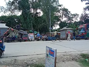 বিএসসি মোড়, নাগেশ্বরী।