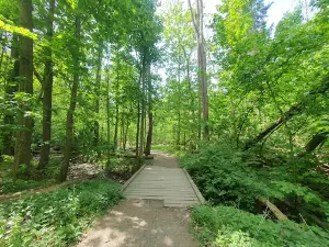 Myśliborski Gorge near Jawor