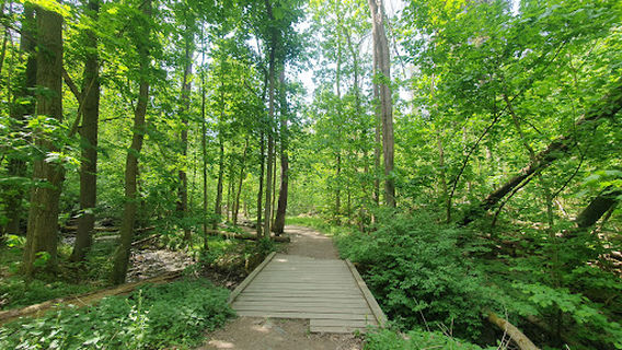 Myśliborski Gorge near Jawor