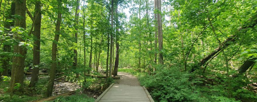 Moisdorfer Schlucht