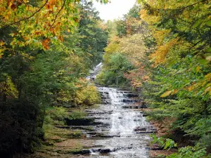 E.N. Huyck Preserve