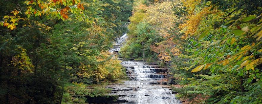 E.N. Huyck Preserve