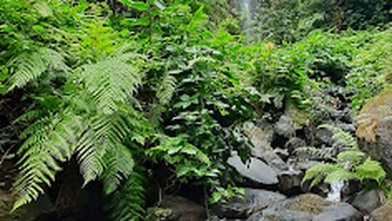 Lombo waterfall