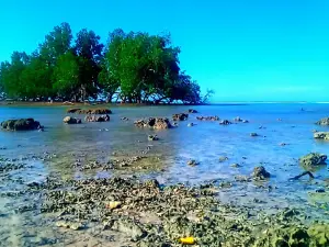 Pantai Mali