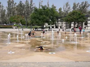 Eucalyptus Park