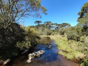 Cânion Itaimbezinho Trilha do Cotovelo
