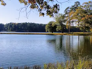 Noxubee Hills Trail System North Trailhead