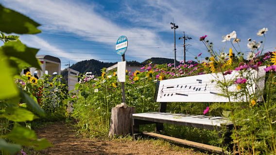 Suhara Himawari no Sato