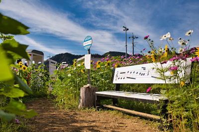 Suhara Himawari no Sato