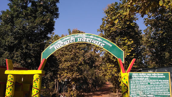 Pitezari Tourist Gate (Nawegaon-Nagzira Tiger Reserve)