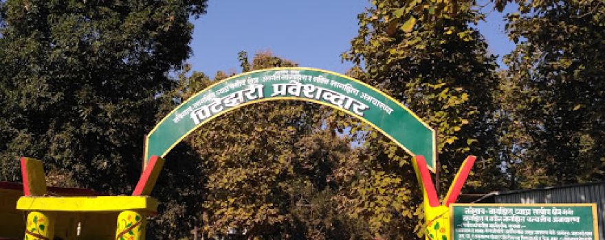 Pitezari Tourist Gate (Nawegaon-Nagzira Tiger Reserve)
