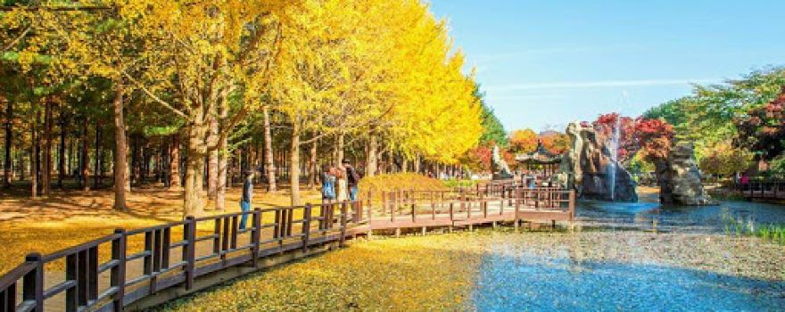 Nami Island Entrance