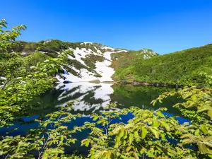 Kintrishi Nature Reserve