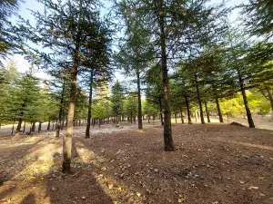 Derekoy Recreation Area