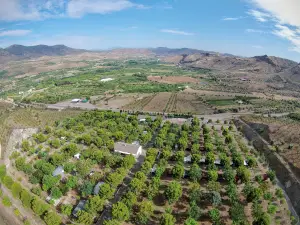 Camping Saviñan Park