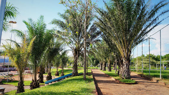 Parque e Piscinão do Bairro Morumbi