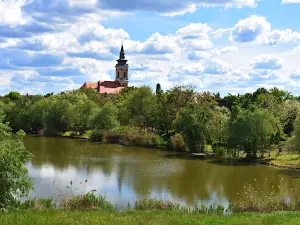 Csókási Holtág