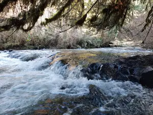 Hubert K McBee Memorial Campground