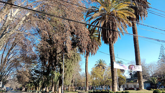 Isla de Maipo