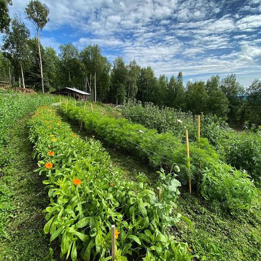 Calypso Farm and Ecology Center