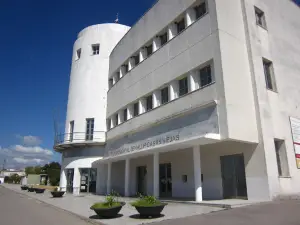 Teatro Municipal Casa Viejas