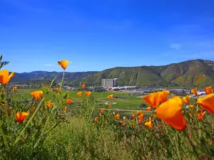 바수트-체이 스테이트 보호지역