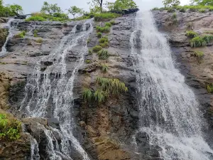 Tamhini Ghat Viewpoint