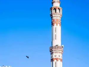 Sultan Ali Dinar Mosque