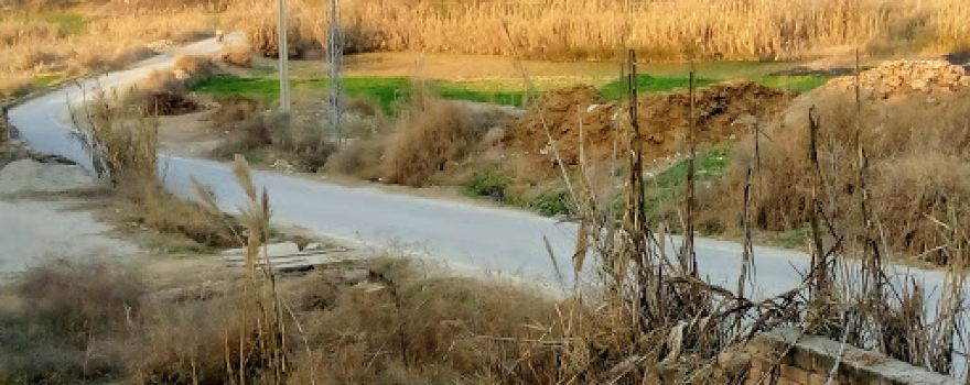 Mohallah Dak Bangla
