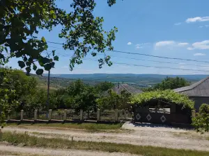 Stadion Budăi