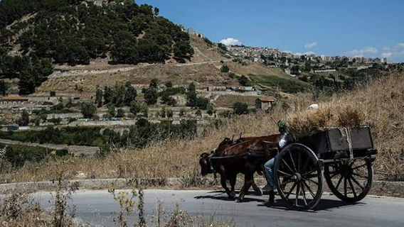 Museo Etno-Antropologico