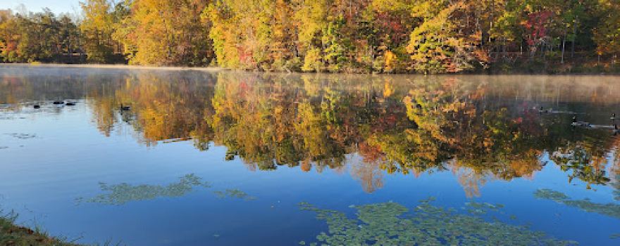 Paradise Lake and Campground