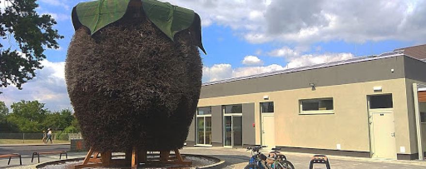 Tężnia solankowa "Truskawka"