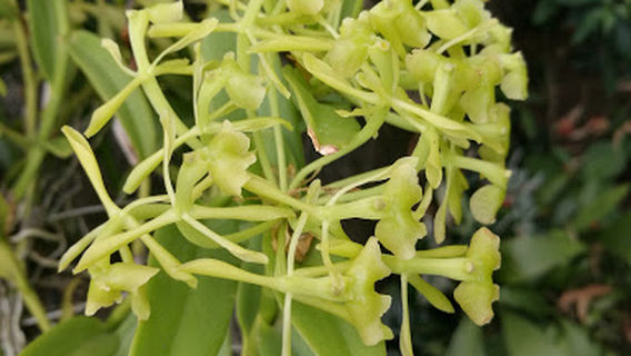 Urbanización Pablo Presbere