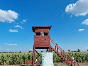 Kukuričné bludisko