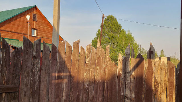 Russian Baths Birches