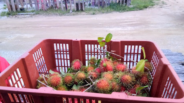 Pasar Malam Melor, Kelantan.