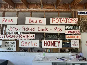 Billyco Junction Gardens U pick Family Farm