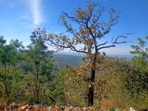 Limba Maharaj Temple Maharashtra