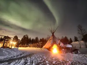 Kiruna Husky